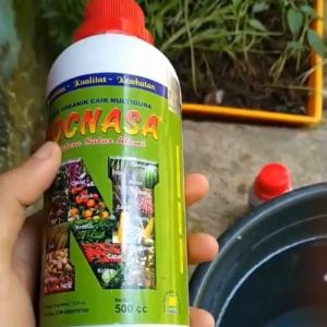 Pupuk Buah Cherry / Pupuk Pohon Ceri / Pupuk Buah Biar Cepat Berbuah Obat Semprot Tanaman Buah Lebat