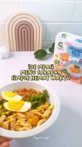 Gasol Organic Rice Porridge 300gr / Makanan Bayi MPASI