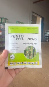 Punto Extra gói 40GR trị rầy rệp hàng chính hãng Vĩnh Thạnh nhập khẩu