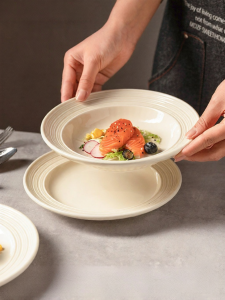 MODERN SWEETHOME | Elegant Home Use Dinner Plate