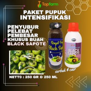 Pupuk Pelebat Buah / Pupuk Black Sapote / Pupuk Khusus Buah Black Sapote / Pupuk Tanaman Buah Black Sapote / Pupuk Booster Buah Buahan
