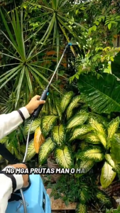  REAIM 5L 8L  Sprayer Agriculture Knapsack Rechargeable Electric Sprayer Gardening Power disinfection spray