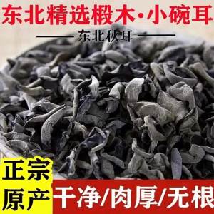 Premium Northeast Chinese Black Auricularia White-Back Autumn Ears New Crop Thick
