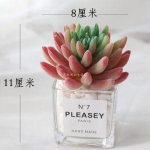 Artificial Succulent Pant Fake Flower Ins Northern Europe Small Pot Plant Combination Modern Minimalist Bookshelf Table Decoration Furnishings