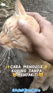 Spray Pengusir Kucing KLINO CARE 250ml Tanpa Menyakiti Antibacteri Bebas Kuman Virus Aman Bagi Hewan