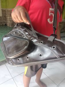 Kisa ayam jagotas perjalanan hewan peliharaankiso ayam