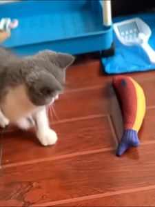 Winky Wink 24cm ของเล่นแมว ตุ๊กตาปลาแคทนิป ของเล่นแมว ของเล่นสัตว์เลี้ยง ของเล่นสำหรับแมวแทะ ของเล่นจำลองปลา ตุ๊กตาปลา ผงแคทนิปสุดฟิน Cat toy