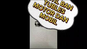 Pentil Ban Tubles Tubeless Besi Panjang Motor Mobil Drat Dalam Panjang