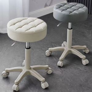 Rotating Adjustable Beauty Salon Chair with Wheels