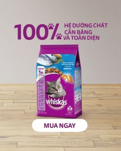 Hạt mèo Whiskas Thức ăn cho mèo trưởng thành 480g Petemo Pet Shop