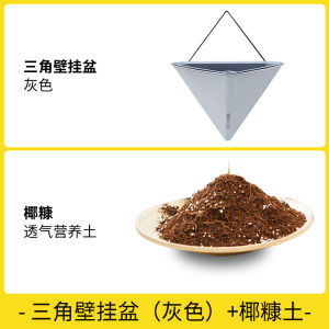 Bình Hoa Treo Tường Bằng Nhựa Phong Cách Scandinavia Đơn Giản Dùng Trong Nhà Để Ban Công Sáng Tạo Nhỏ Bình Hoa Cactus