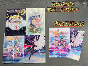 Sailor Moon Original Artwork A4 Laser Cut Acrylic Folder Anime Themed Document Organizer Japan Origin Moon Rabbit Character