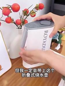 「China Plug」ROYADULEX Portable Mini Electric Kettle