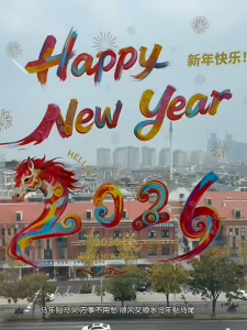 2026 Hello New Year Door 3D Window Stickers Spring Festival Wall Couplet Blessing Hollow Design Window Stickers Decor