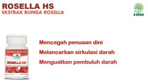 Obat Penurun Kolesterol Tinggi | Trigliserida | Gula Darah | Lupus | Rosella HS HNI HPAI