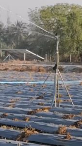 หัวสปริงเกอร์ 1 ทรงอิตาลี รุ่นใหม่ยิงได้ไกล เทียบเท่า 1.5