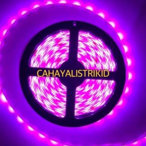 LAMPU LED MATA BESAR 12 VOLT MOBIL WATERPROOF PANJANG 5M