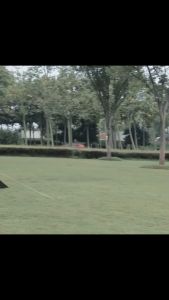 5/10PC Camping Tarp Clips Clamp Canvas Heavy Duty Lock Grip Tent Fasteners Clips Pool Awning Bungee Cord Car Tighten for Outdoor