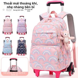 DDOO | Spine Protection Rolling Backpack