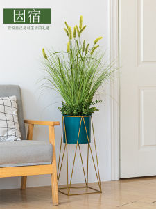 Đồ Trang Trí Nhà Phong Cách Scandinavia Bông Hoa Khô Mô Phỏng Cỏ Đuôi Chó Cây Xanh Trong Nhà Đồ Trang Trí Phòng Khách