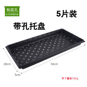 Rectangular PS Plug Seedling Tray Nursery Basin Plastic Seedling Box Vegetable Florals Watermelon Succulent Planting Plate Tray
