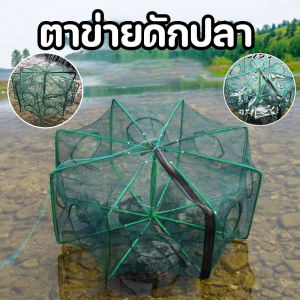 【Healer】COD New ที่ดักกุ้งฝอย ตาข่ายดักปลา กระชังจับกุ้ง พับเก็บได้ มุ้งดักกุ้ง 6/8/10 /12/16 ช่อง