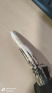 Pisau Serut Jalu Premium: Alat Serut Berkualitas Tinggi