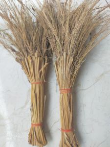 sapu jerami padi ketan hitam asli ori
