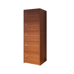 Slim Living Room Bedroom Dust-proof Storage Cabinet with Door