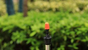 หัวพ่นหมอก มินิสปริงเกอร์ สปริงเกอร์ หัวสปริงเกอร์ สปิงเกอร์ 1/2 มินิสปริงเกอร์ รดน้ำ สปริงเกอร์สนาม sprinkler