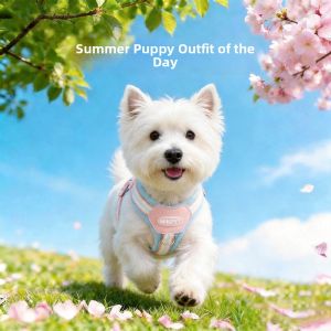 MIKI PAD | Small Dog Puppy Chest Harness Lead