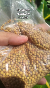 [Original Canister] Osmocote 14-14-14 Complete Fertilizer Controlled Release 500g