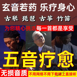 Car Mounted Healing Tea Room Health Learning Music USB Flash Drive Light Music Classical Music Guzheng Pipa Card CD