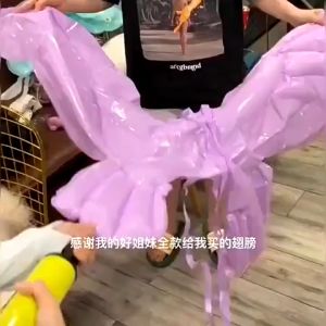 Cánh Thiên Thần Bướm Bơm Hơi  – Set 5 Cái Ngẫu Nhiên – Phụ Kiện Hóa Trang Cosplay Chụp Ảnh Nhiều Màu