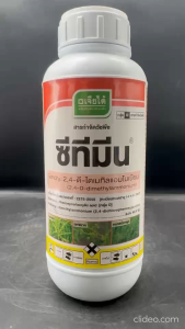 เจียไต๋ ซีทีมีน ขนาด 1 ลิตร 24-ดี-ไดเมทิลแอมโมเนียม กำจัดหญ้าใบกว้าง ผักบุ้ง เครือ เถา ผักปอดนา เทียนนา โสนหางไก่ ผักบุ้ง กก แห้วหมู ในอ้อย ข้าว ข้าวโพด ชนิดดูดซึม npkplant