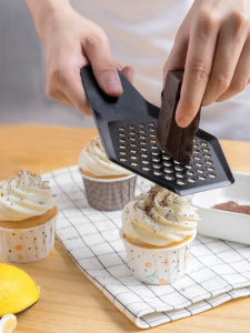 Kuhn Rikon | ABS Garlic and Ginger Grater for Home Use