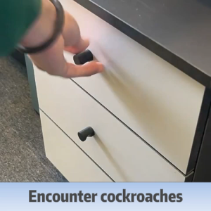 💥18 pcs💥 Lipas pembunuh lipas pembunuh Gel umpan membunuh lipas dan telur mereka bersama-sama tidak sah bayaran balik penuh lipas umpan lipas perangkap ubat lipas pembunuh penghalau repellent