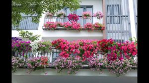 Chậu nhựa kẹp ban công trồng hoa màu trắng sang trọng Minh Hân Garden