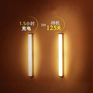 MEISITEKEKE | Charging LED Motion Sensor Induction Light Self-Adhesive Wireless