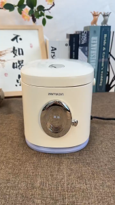 Mini Rice Cooker 1.2L Ceramic Inner Pot Cook & Steam