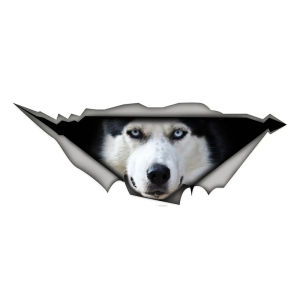 Husky Head Dog Thú Cưng Xe Ô Tô Miếng Dán Tự Dính Chống Thấm Nước Decal Cho Ốp Lưng Cửa Sổ Phía Sau Laptop Hoạt Hình Họa Tiết Động Vật