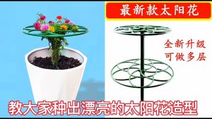 Tiang Penyangga Tanaman Bonsai / Bunga Bentuk Setengah Lingkaran Bahan Plastik Untuk Berkebun
