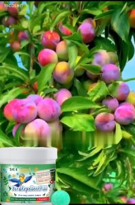 10000เมตรไม่มีนก ✅ไล่นก ก้อนไล่นก ที่ไล่นก ไล่นกพิราบ ใช้งานง่าย ทำจากสารสกัดธรรมชาติ ไม่เป็นอันตราย ขับไล่นกต่างๆ