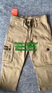zweckout label Celana Panjang Anak Laki Laki Cargo Slim Fit Kargo Usia 2 - 12 Tahun Army