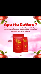 BERRYFULL BY INAYAH BEAUTY 100% ORIGINAL HQGATTOXBREAK OATSLIMMIN KAWAL SELERA MAKAN DETOX
