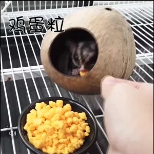 Pet Snack dried egg yolk/Suger Glider Food/Suger Glider Snack /