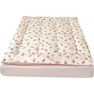 Thickened Soybean Fiber Tatami Mattress for Students Dormitory Single Bed Home Use Soft Pad Non-Washable Support Foldable