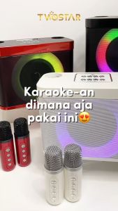 TWOSTAR TS-219 Speaker 2 Mic Bluetooth Portable Karaoke