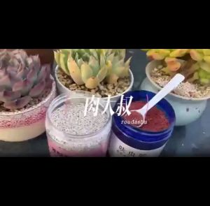 Jclsgp 肉大叔 Dinotefuran Garden Insecticide