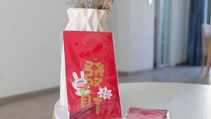 2023 Cny Door Hanger Decoration Rabbit Chinese New Year Sign